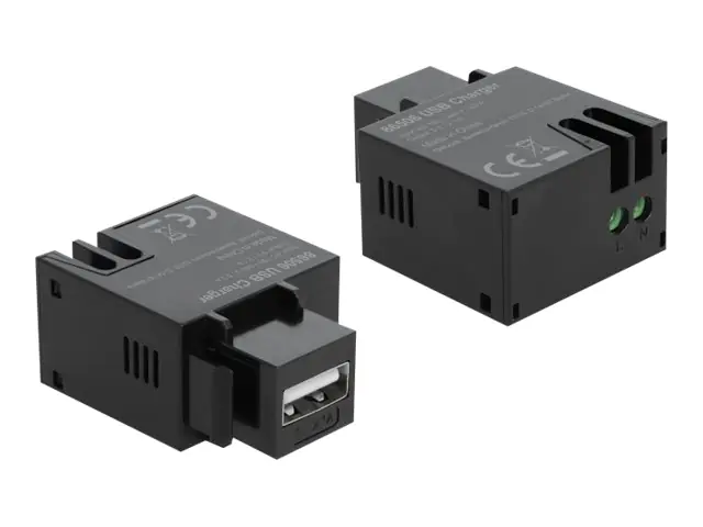 Delock Keystone module - Modulare Eingabe - USB-Ladefunktion - Schwarz