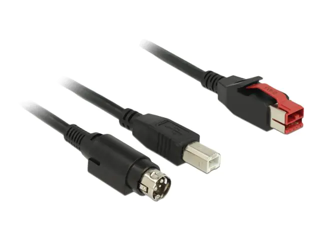 Delock Powered USB-Kabel - USB PlusPower (24 V)