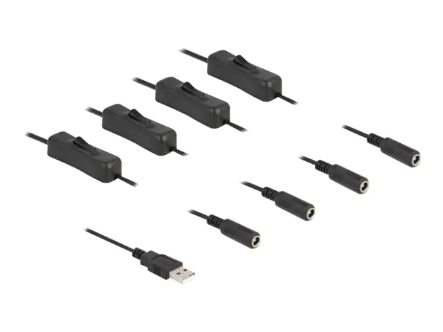 Delock - Netz-Splitter - USB (M) zu Gleichstromstecker 5,5 x 2,1 mm (W) - 1 m - Schwarz