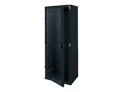 Triton Delta S - Schrank - Schwarz, RAL 9005 - 42HE - 48.3 cm (19")