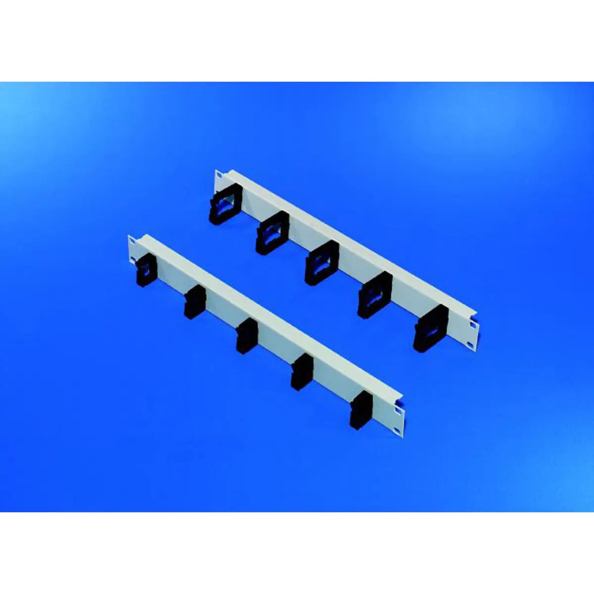 SCHROFF front panel with plastic cable eyes - Rackpaneel - Vorderseite - RAL 7035 - 1U - 48.3