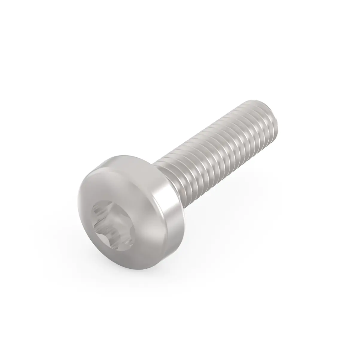 SCHROFF TORX CAP.HD.M2.5X10MM(100PC)