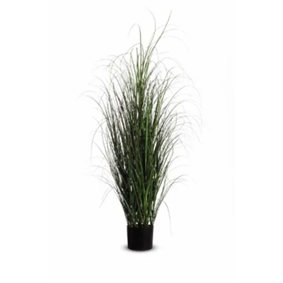 Paperflow Zimmerpflanze Gras 50 x 130 cm (B x H) PVC grün