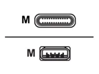 Roline Green - USB-Kabel - 24 pin USB-C (M) zu USB Typ A (M) - USB 3.2 Gen 1 - 50 cm