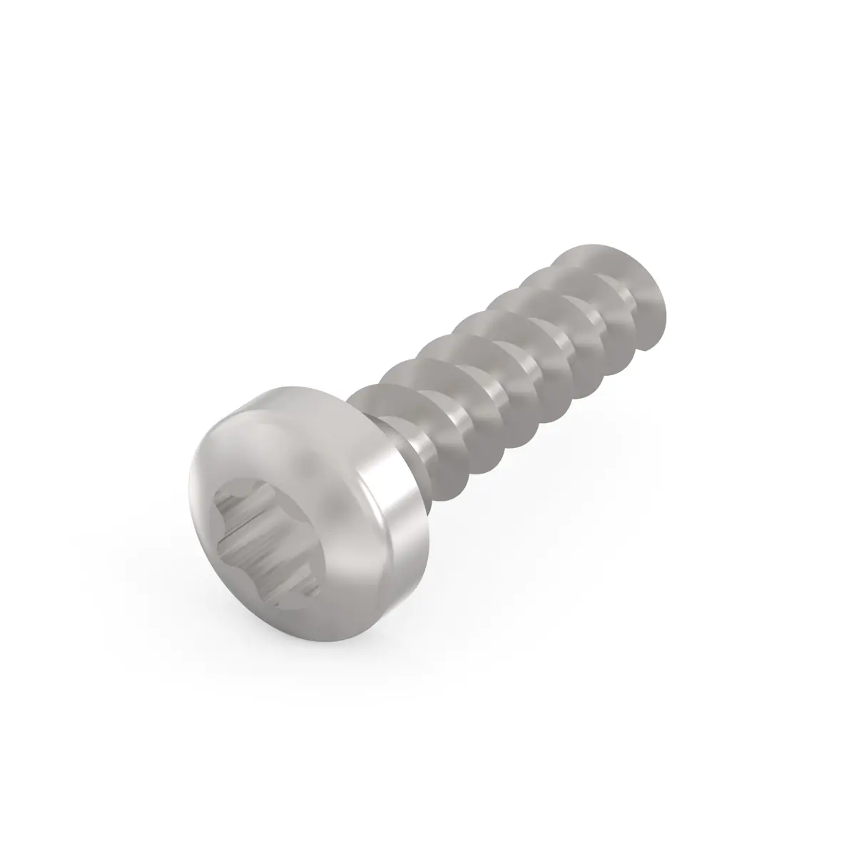 SCHROFF SCREW TORX PAN.2.5X9.3 (100PCS/KIT)