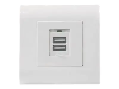 Intellinet Unterputzdose mit zwei USB Typ A-Ladeports, Zwei USB Typ A-Ports mit Staubschutzklappe und 5 V / 2,1 A Ausgangsleistung, Frontblende im europäischen Format 80 x 80 mm - Ausgang - oberflächenbündig montierbar - USB X 2 - mit Safety Cover