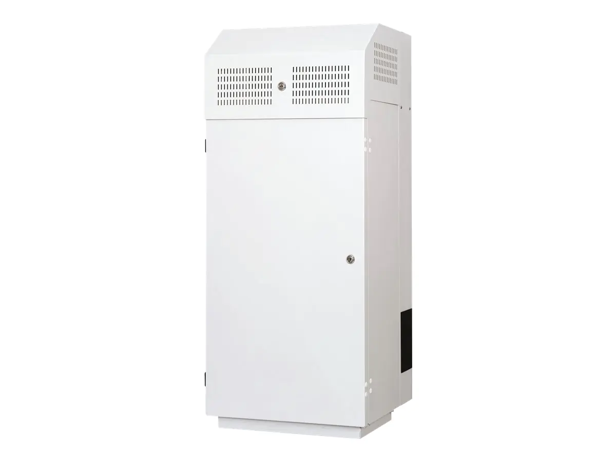 Digitus Professional DN-19 WM-SRV-400 - Gehäuse - geeignet für Wandmontage - Hellgrau, RAL 7035 - 10U - 48.3 cm (19")