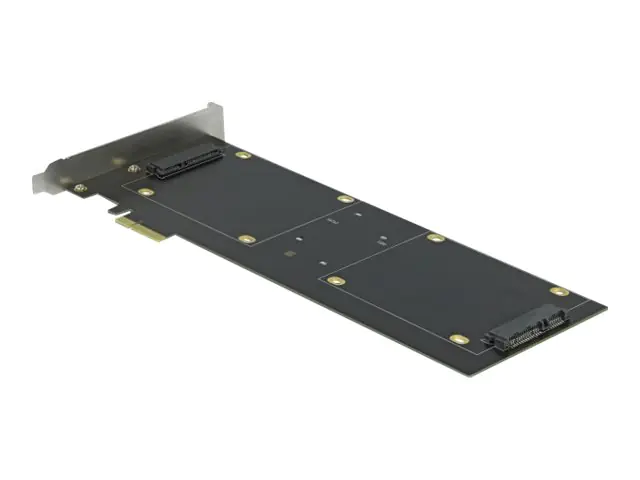 Delock Speichercontroller (RAID) - 4 Sender/Kanal 90433
