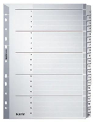 Leitz Register 43260000 DIN A4 1-20 volle Höhe 160g Karton grau