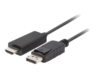 Lanberg Adapterkabel - DisplayPort männlich