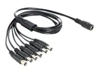 Delock Netz-Splitter - Gleichstromstecker 5,5 x 2,1 mm (M) 83289