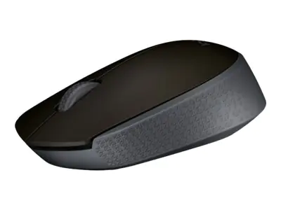 Logitech M170 - Maus - kabellos - 2.4 GHz - kabelloser Empfänger (USB) 910-004642