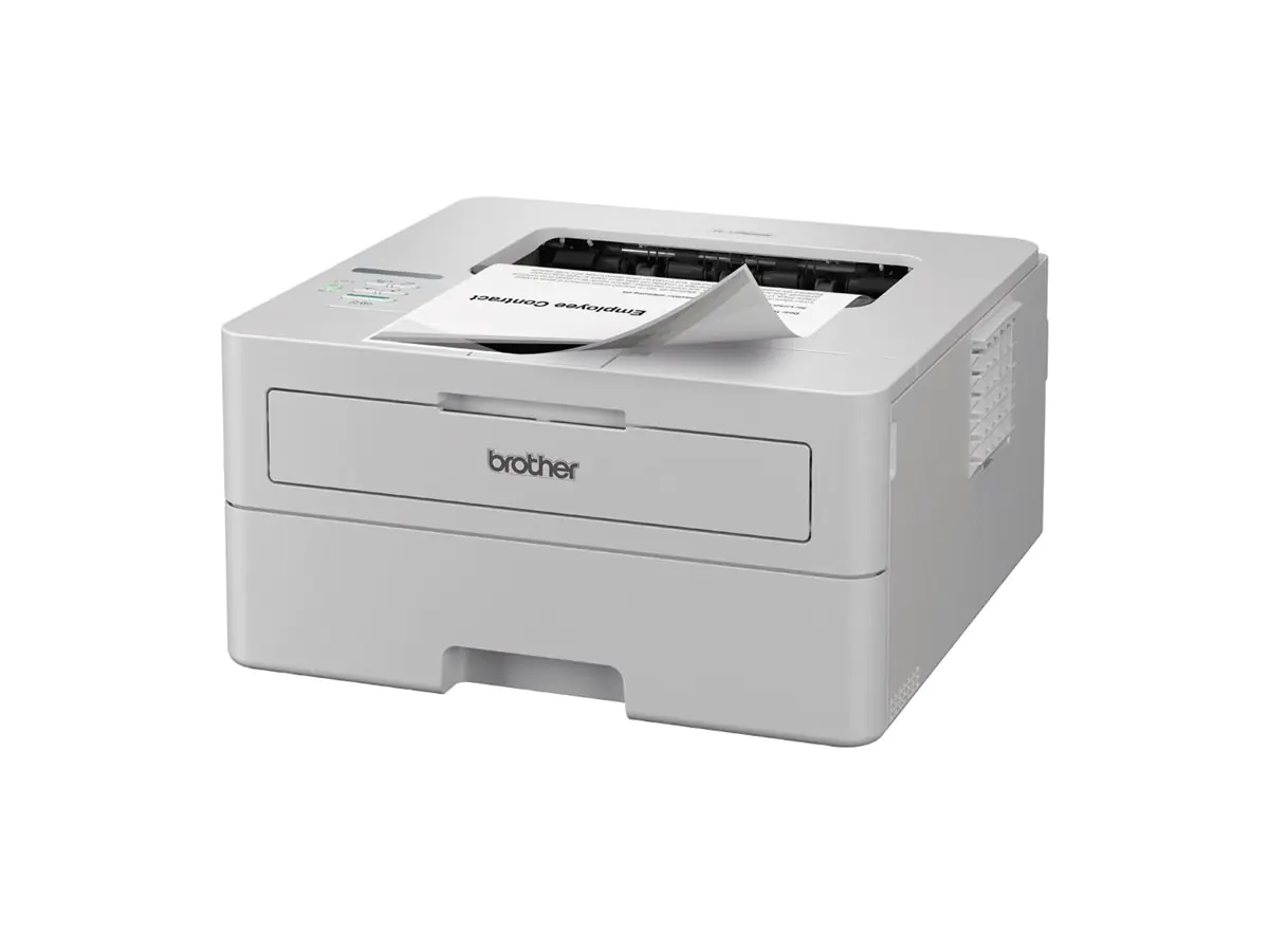 Brother HL-L2865DW - Drucker - s/w - Duplex HLL2865DWRE1