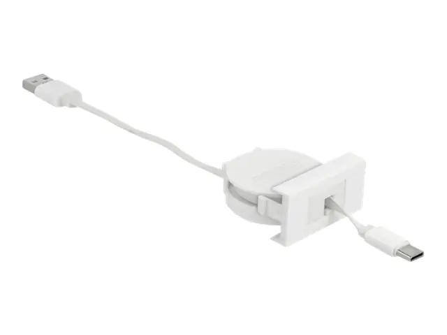 Delock - USB-Kabel - USB (M) zu 24 pin USB-C (M) - USB 2.0 - 5 V - 2 A - 50 cm - einziehbar, flach - weiß, RAL 9003