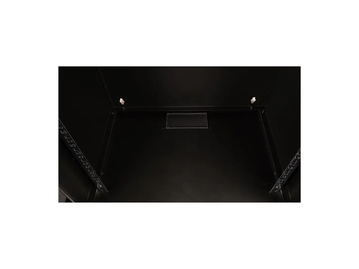 ROTRONIC-SECOMP Roline Basic - Gehäuse - kit - geeignet für Wandmontage - RAL 9005, Jet Black - 1