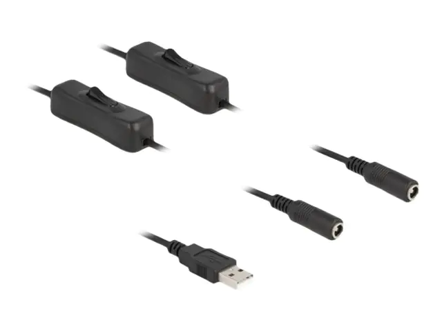Delock - Netz-Splitter - USB (M) zu Gleichstromstecker 5,5 x 2,1 mm (W) - 1 m - Schwarz