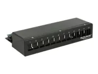 Delock Keystone Desktop Patch Panel - Patch Panel - Jet Black, RAL 9005 - 12 Ports