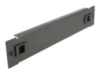 Delock Network Cabinet Blind Cover - Rack-Blindabdeckungsplatte - Schwarz - 1U - 25.4 cm (10")