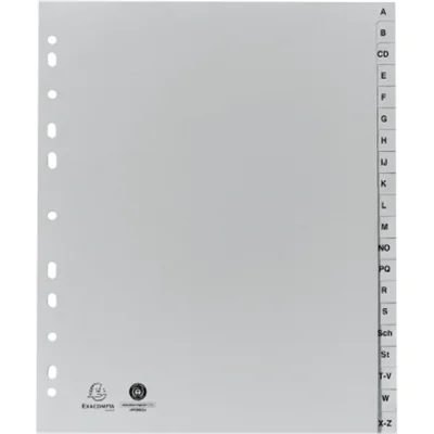 Exacompta 1920B, Grau, Polypropylen (PP), A4, 245 mm, 297 mm, 170 g