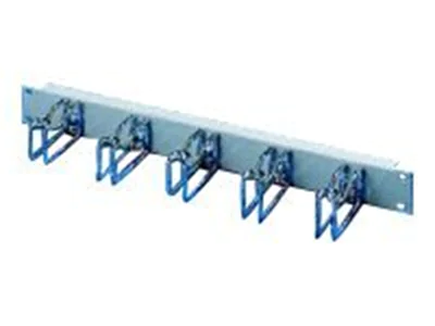 Rittal TS IT - Kabelmanagement - RAL 7035 - 1U - 48.3 cm (19")