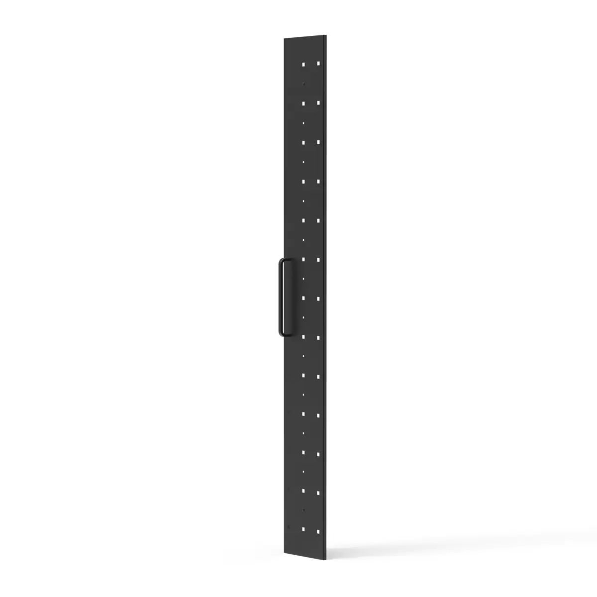 SCHROFF SCHWENKRAHM.BLENDE 42HE ASSY - Rack -Zubehör