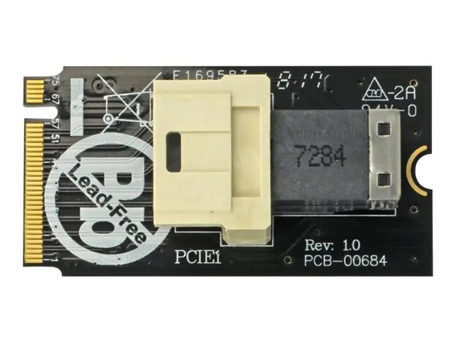 Delock Adapter M.2 Key M > SFF-8643 NVMe horizontal 2242 - Schnittstellenadapter - 2.5" (6.4 cm) - U.2 NVMe - M.2 Card