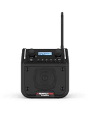 Perfectpro DAB+ Radio DABPRO Schwarz - Tuner