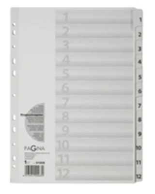 PAGNA Register 31005-08 1-12 DIN A4 12tlg ws