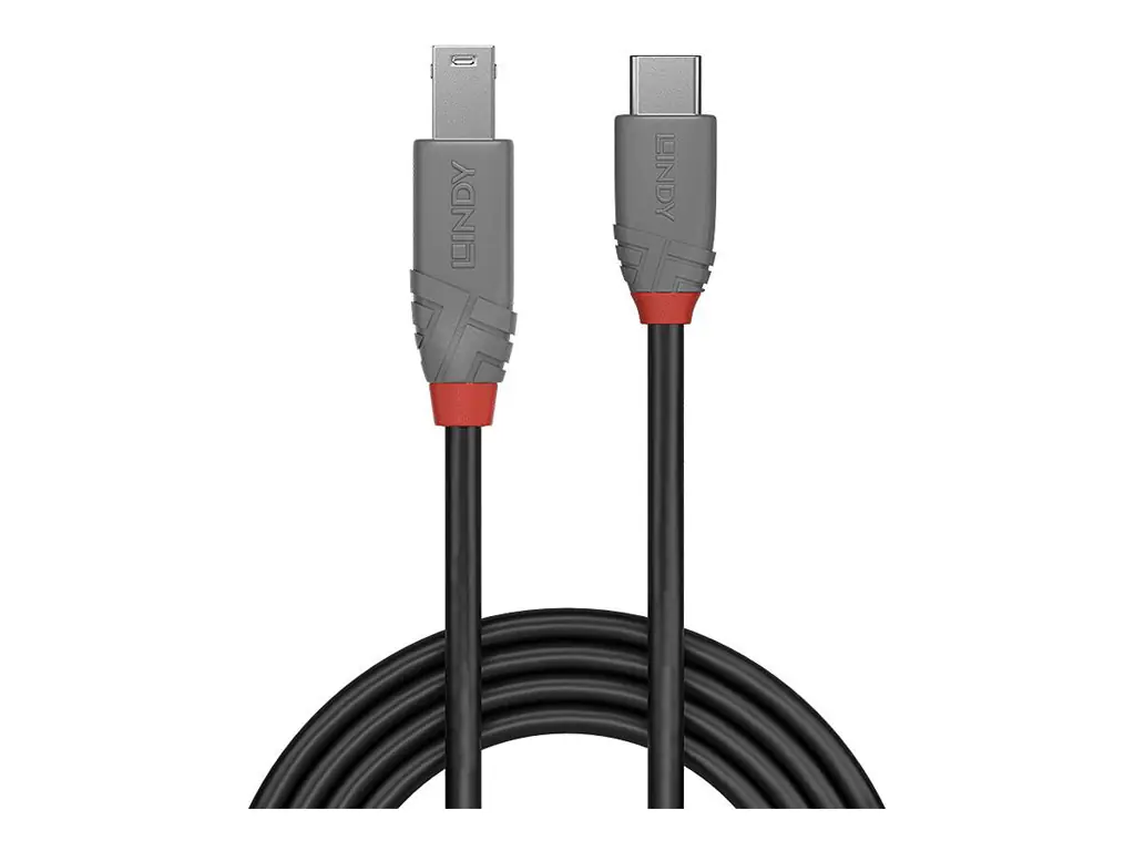 Lindy Anthra Line - USB-Kabel - 24 pin USB-C (M) zu USB Type B (M) - USB 3.2 Gen 1 - 1 m - rund, bi-direktional - Schwarz