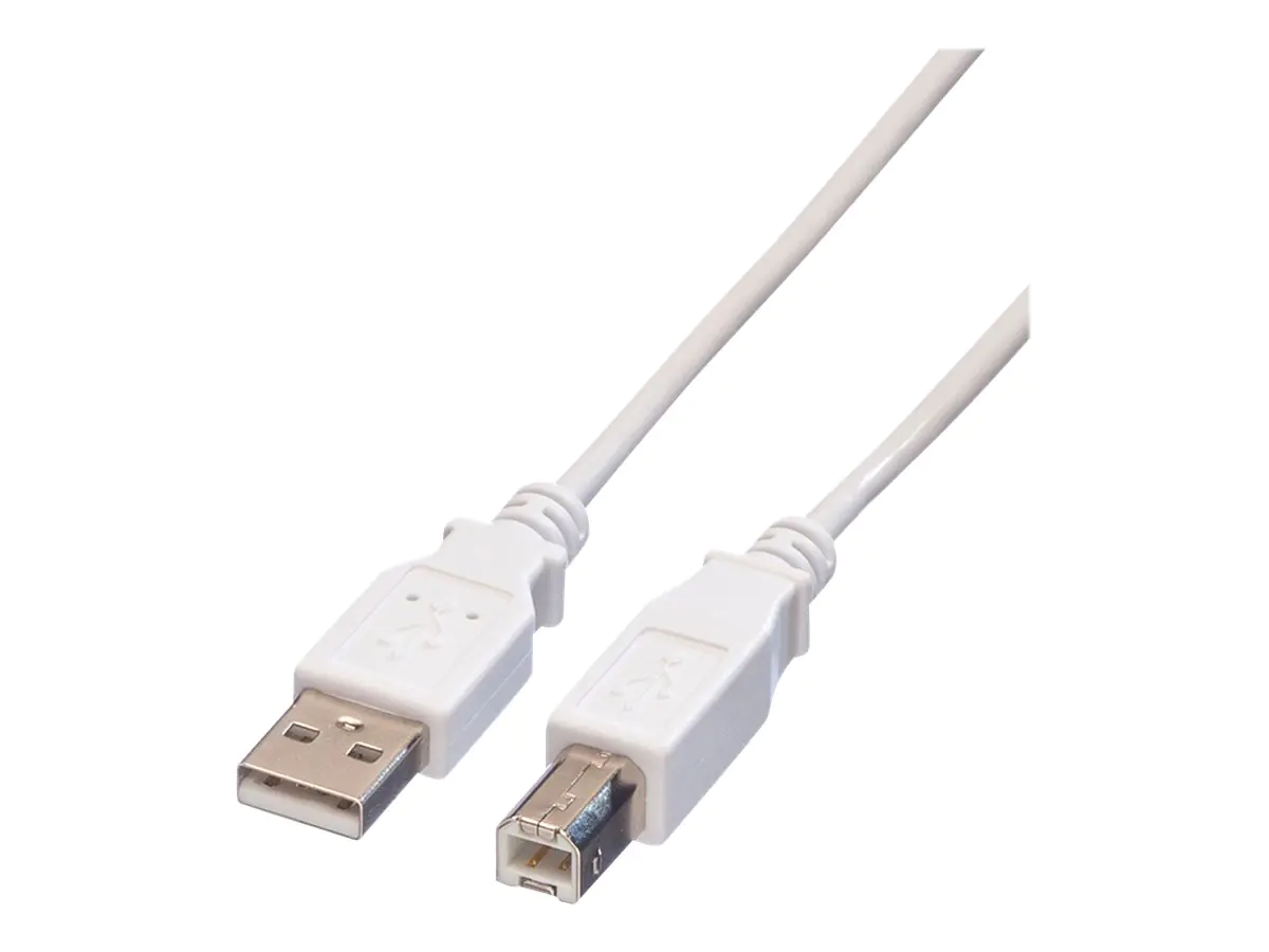 VALUE USB-Kabel - USB (M) zu USB Typ B (M) 11.99.8841