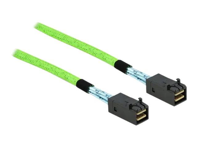 Delock - Internes SAS-Kabel - SAS 64Gbit/s - gerade durchgeführt - Mini SAS HD (SFF-8673) (M) zu Mini SAS HD (SFF-8673) (M) - 1 m