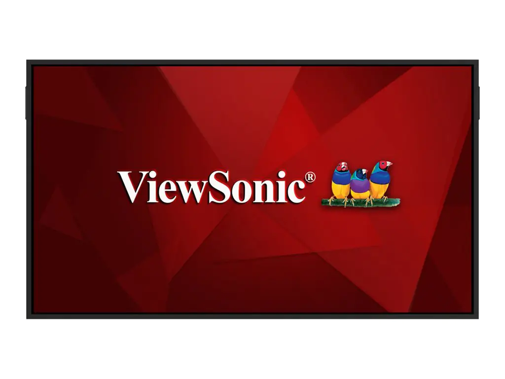 ViewSonic CDE65G3-1C - 165 cm (65") Diagonalklasse (163.8 cm (64.5")