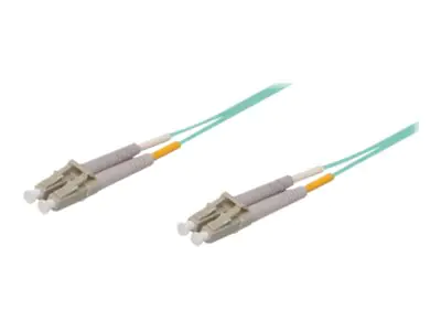 Delock Passive PoE Adapter Set RJ45 DC 5.5 x 2.1 mm - Power Injector - Schwarz (Packung mit 2)